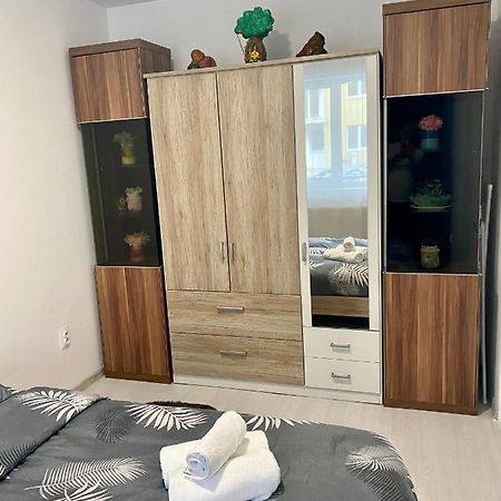 Apartament Irina Brasov Braşov Exterior foto