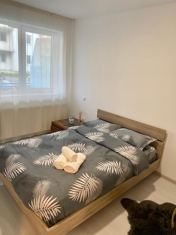 Apartament Irina Brasov Braşov Exterior foto