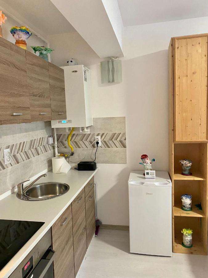 Apartament Irina Brasov Braşov Exterior foto